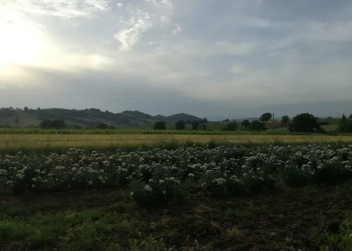 Agriturismo Cavallin Del Papa