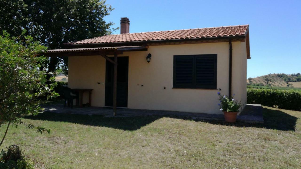 Cavallin Del Papa Apartment *