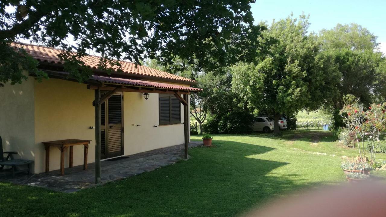 Cavallin Del Papa *