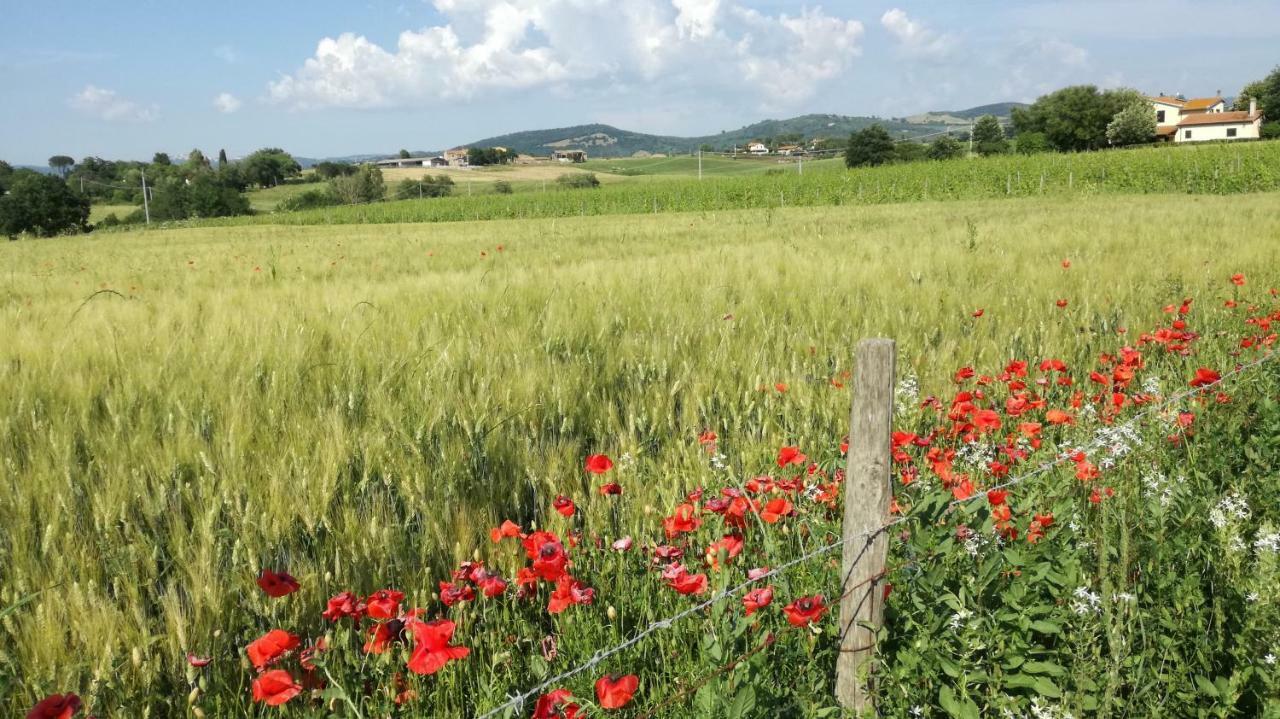 Cavallin Del Papa Capalbio
