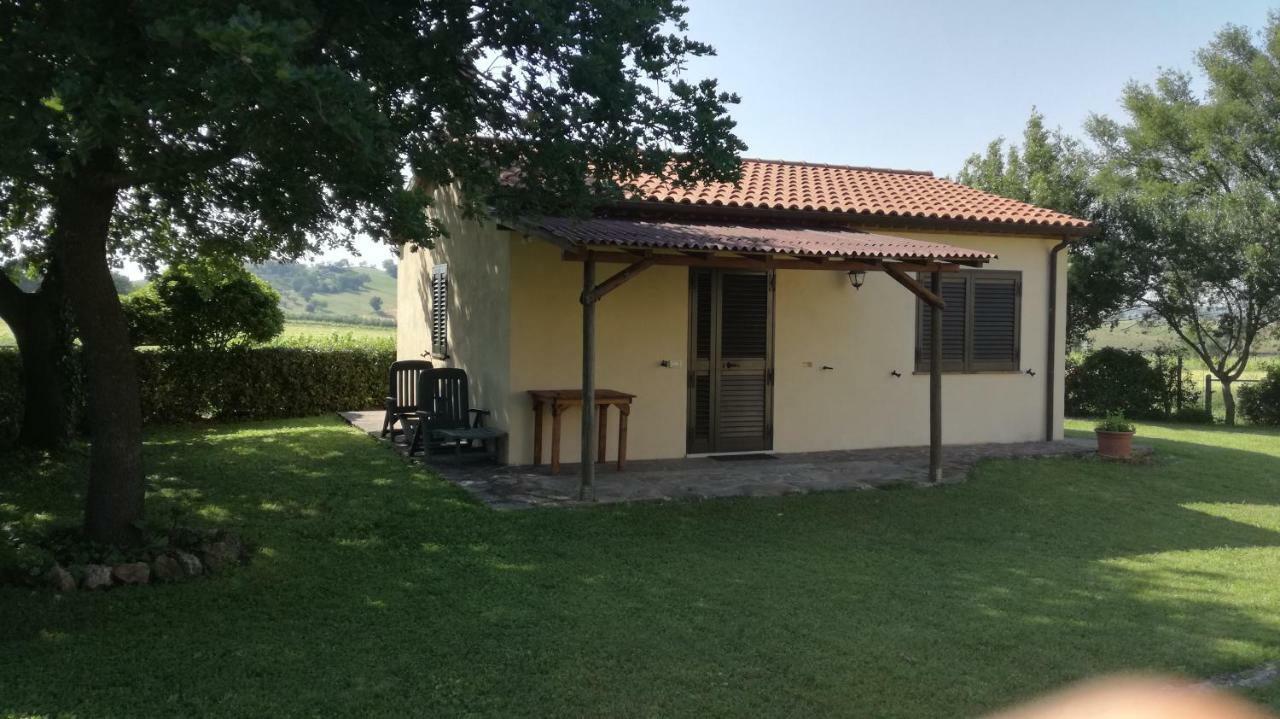 Cavallin Del Papa Capalbio
