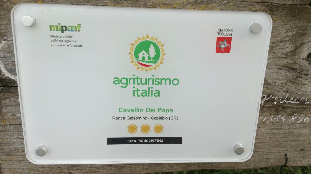 Cavallin Del Papa *