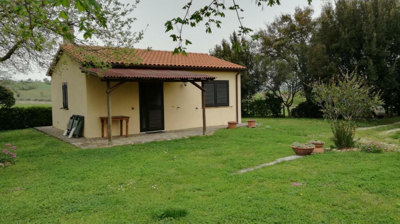 Cavallin Del Papa *