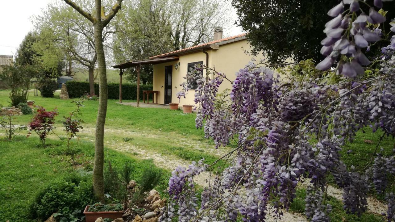 Apartment Cavallin Del Papa Capalbio